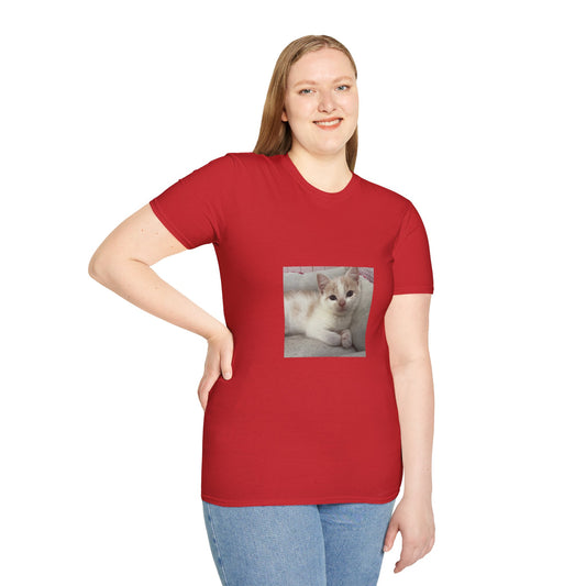 Cat Photo T-Shirt — Cute Cream Kitten Photo Tee