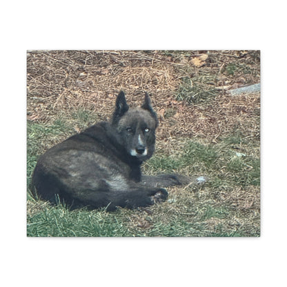 Pet Portrait Canvas  Custom Dog Photo Matte Stretched Wall Art