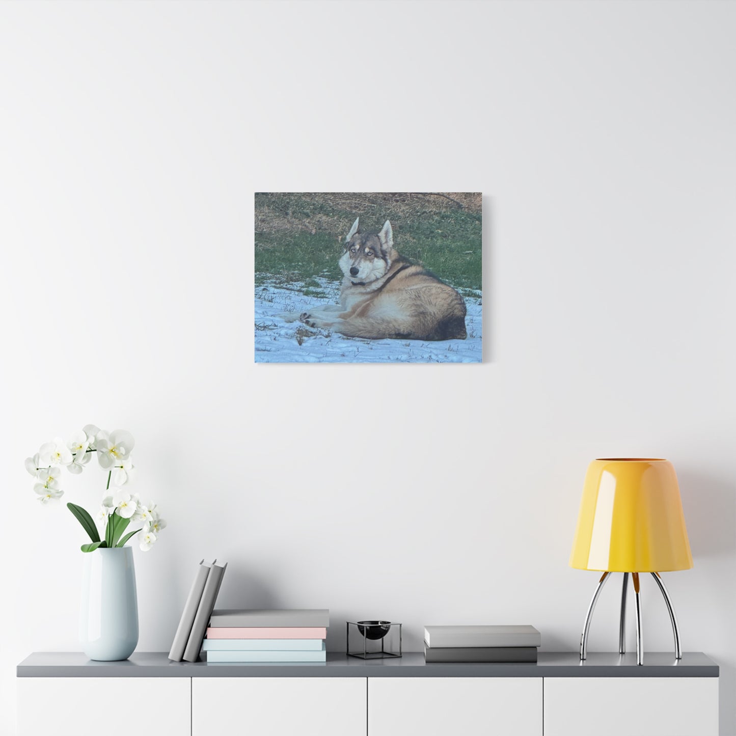 Wolf Dog Canvas Print - Matte Stretched Wall Art (1.25")