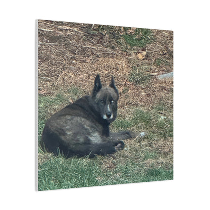 Pet Portrait Canvas  Custom Dog Photo Matte Stretched Wall Art