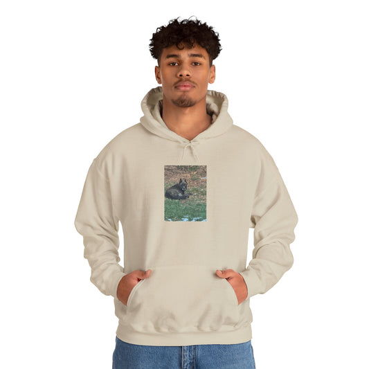 Hoodie with Relaxing Bear Photo — Cozy Nature Graphic Pullover
