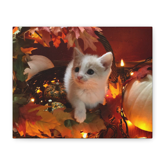 Autumn Kitten Canvas Wall Art — Cute Fall Cat Pumpkin Decor