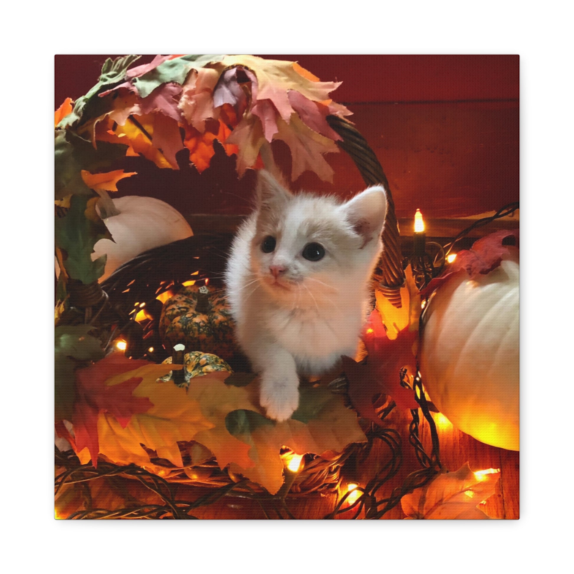 Autumn Cat Canvas Wall Art featuring a cozy kitten beside pumpkins for fall home decor